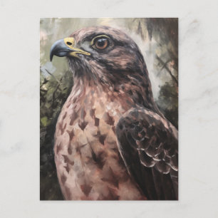 Cartão Postal Hawk