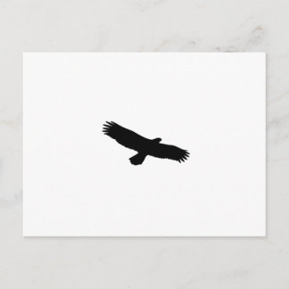 Cartão Postal Hawk Silhouette