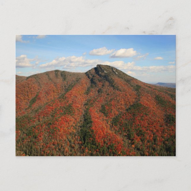 Cartão Postal Hawksbill Mountain em outono, Linville Gorge, NC (Frente)