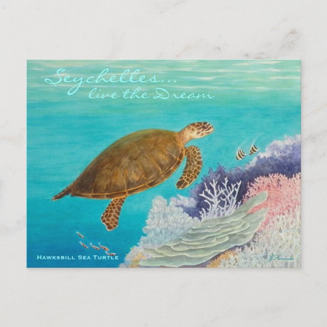 Cartão Postal Hawksbill Sea Turtle (Frente)