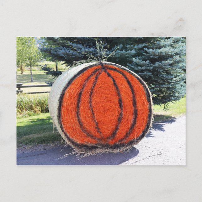 CARTÃO POSTAL HAY BALE PUMPKIN (Frente)