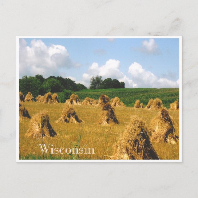 Cartão Postal Hay Field (Frente)