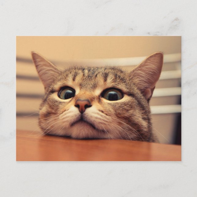 Cartão Postal Head on table (Frente)