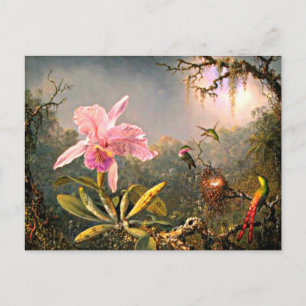 Cartão Postal Heade - Orquídea Cattleya e Três Beija-flores