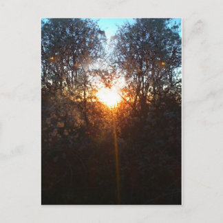 Cartão Postal heartbeamdec2010