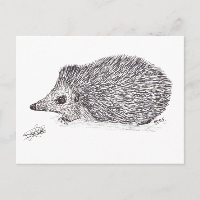 CARTÃO POSTAL HEDGEHOG (Frente)