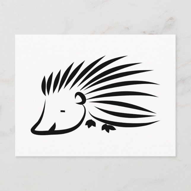 Cartão Postal Hedgehog (Frente)