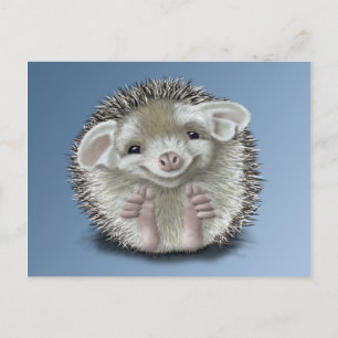 Cartão Postal Hedgehog