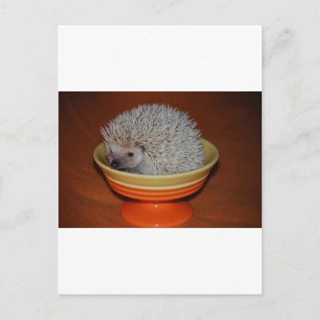 Cartão Postal Hedgehog Sundae (Frente)
