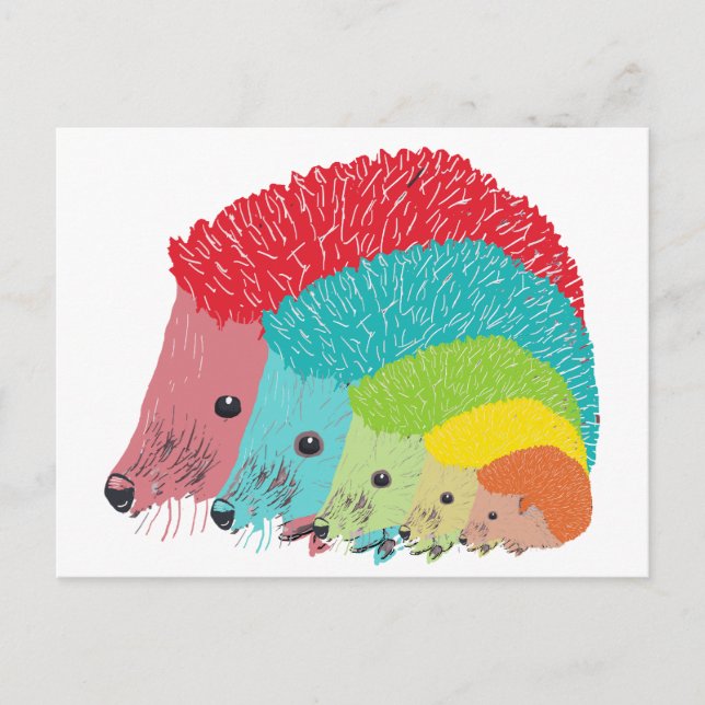 Cartão Postal Hedgehogs (Frente)