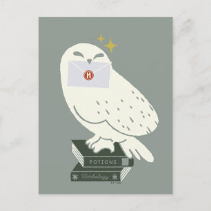 Cartão Postal Hedwig com desenho caprichoso de carta