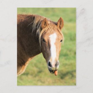 Cartão Postal Heeya, que se passa, doutor?