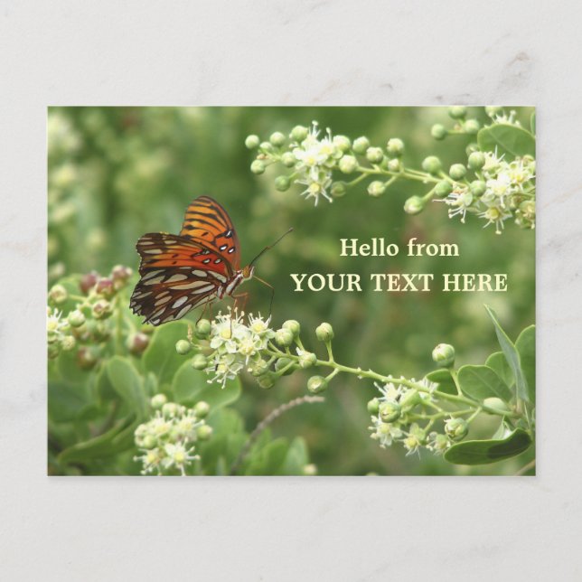 Cartão postal "Hello from" personalizado com borbo (Frente)