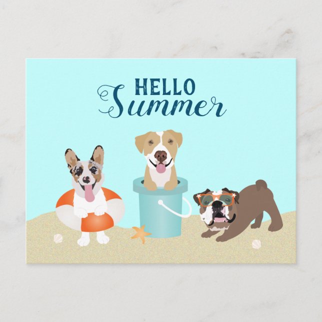 Cartão Postal Hello Summer Beach Dogs (Frente)