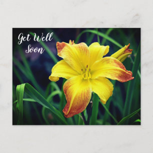 Cartão Postal Hemerocallis Amarelo e Laranja Desejamos Melhoras