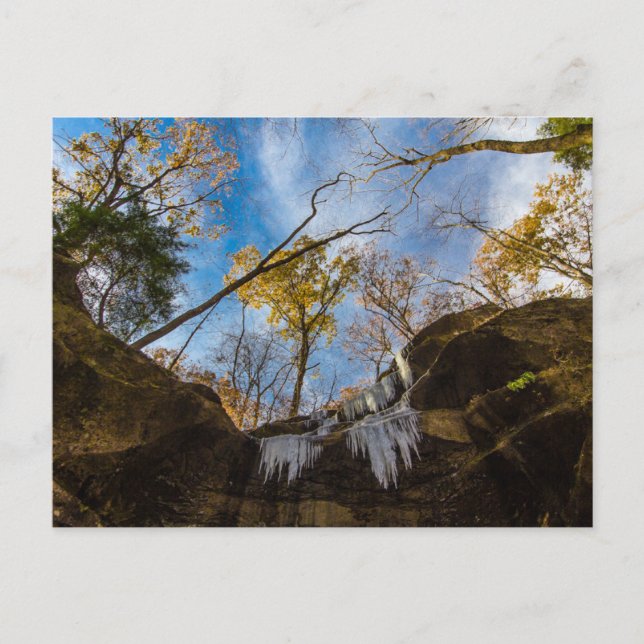 Cartão Postal Hemlock Cliff no outono, Indiana (Frente)