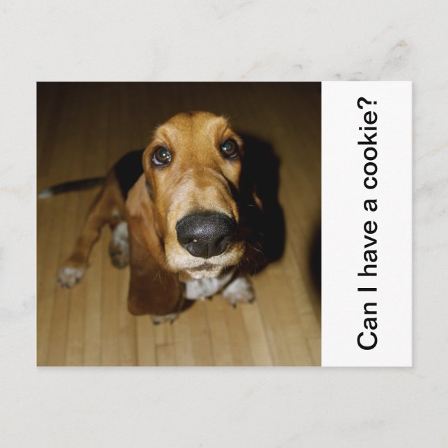 Cartão Postal Henry Longfellow (Frente)