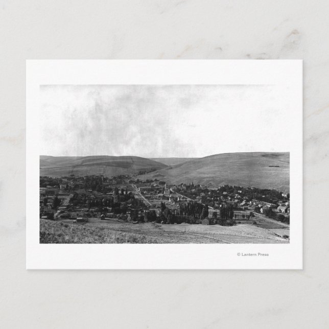 Cartão Postal Heppner, Oregon Birds Ver Fotografia (Frente)