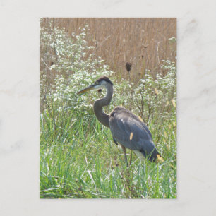 Cartão Postal Herão Azul excelente - Heróis Ardea
