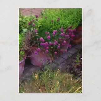 Cartão Postal Herb Garden