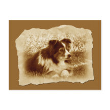 Herding Dog Vintage Tones Sepia
