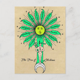 Cartão Postal Hermes Tree of Alchemy Mandala