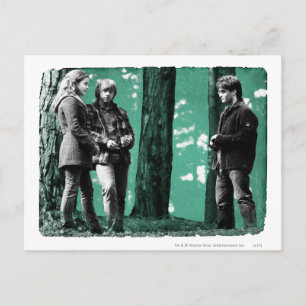Cartão Postal Hermione, Ron e Harry 1