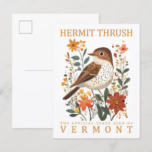 Cartão Postal Hermit Thrush Bird de Vermont Viagem