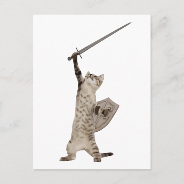Cartão Postal Heroic Warrior Knight Cat (Frente)