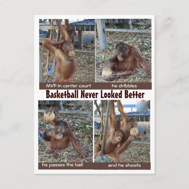 Cartão Postal Heróis de Basquete (Frente)