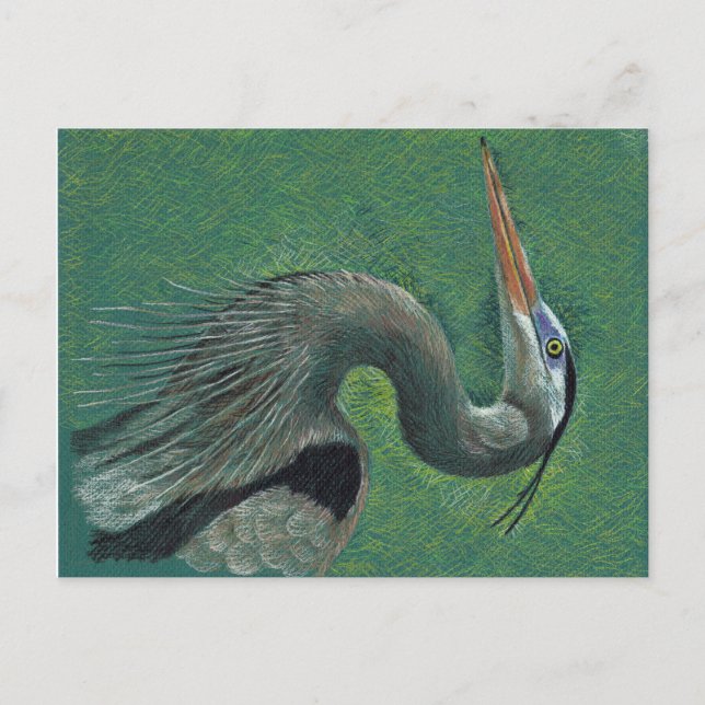 Cartão Postal Heron (Frente)