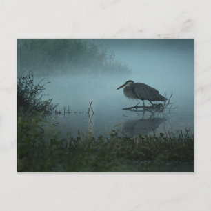 Cartão postal Heron Azul