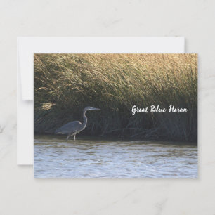 Cartão postal Heron Azul excelente
