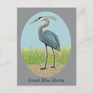 Cartão postal Heron Azul excelente