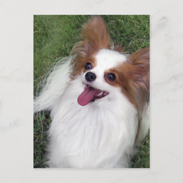 Cartão Postal Hershey Kiss Hero Madi Merchandise (Frente)