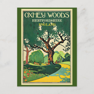 Cartão Postal Hertfordshire, Oxley Woods, Inglaterra