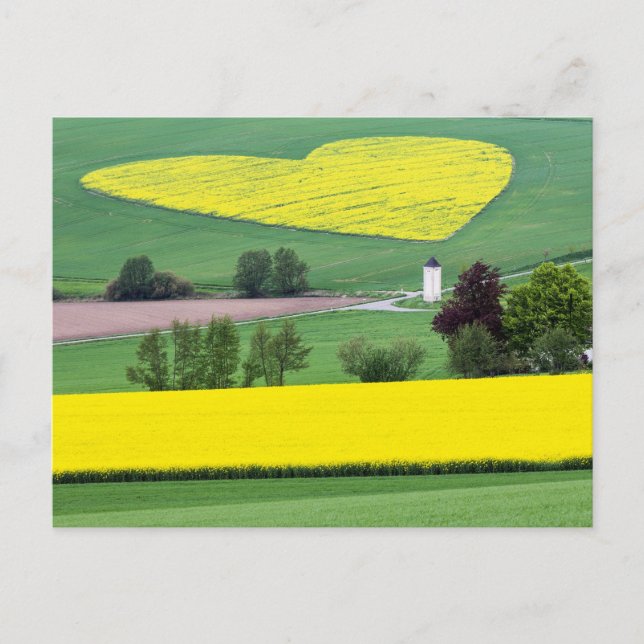 Cartão Postal Herzlich (Frente)