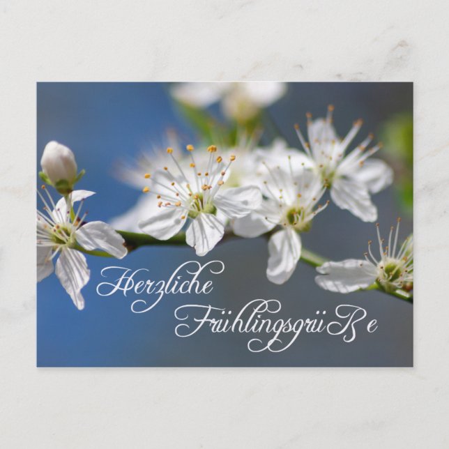 Cartão Postal Herzliche Frühlingsgrüße (Frente)