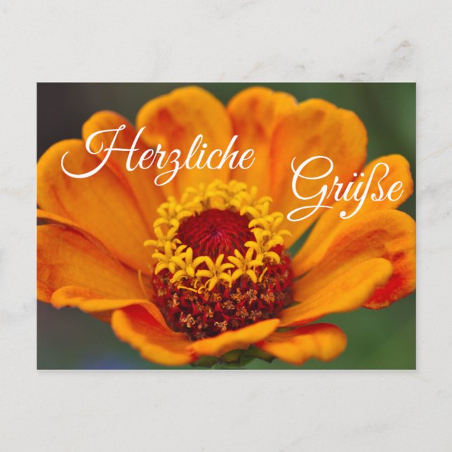 Cartão Postal Herzliche Grüße für Deine Liebsten (Frente)