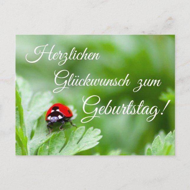 Cartão Postal Herzlichen Glückwunsch zum Geburtstag! (Frente)