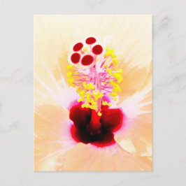 Cartão Postal Hibisco