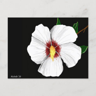 Cartão Postal Hibisco