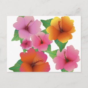 Cartão Postal hibisco exótico de flores tropicais
