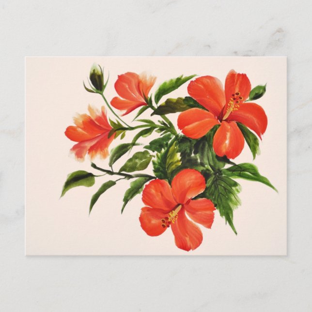 Cartão Postal Hibisco Vermelho Quente (Frente)