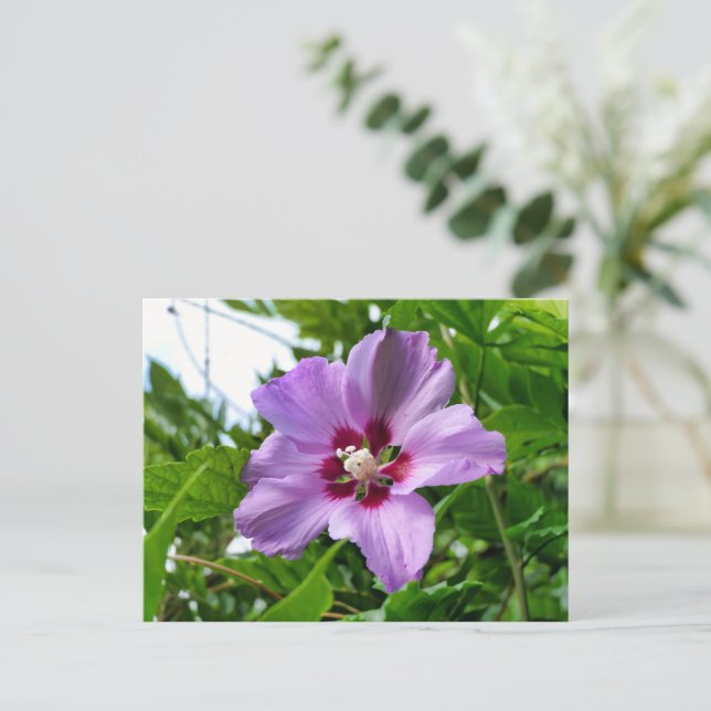Cartão Postal Hibiscus (Em pé/Frente)