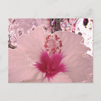Cartão Postal Hibiscus