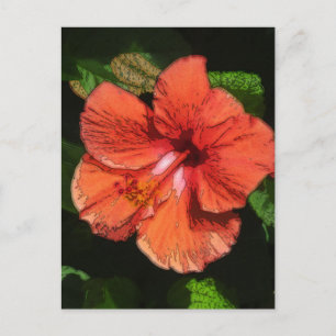 Cartão Postal Hibiscus 424