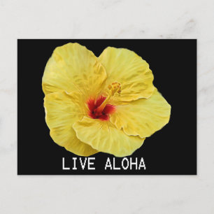 Cartão Postal Hibiscus Amarelo