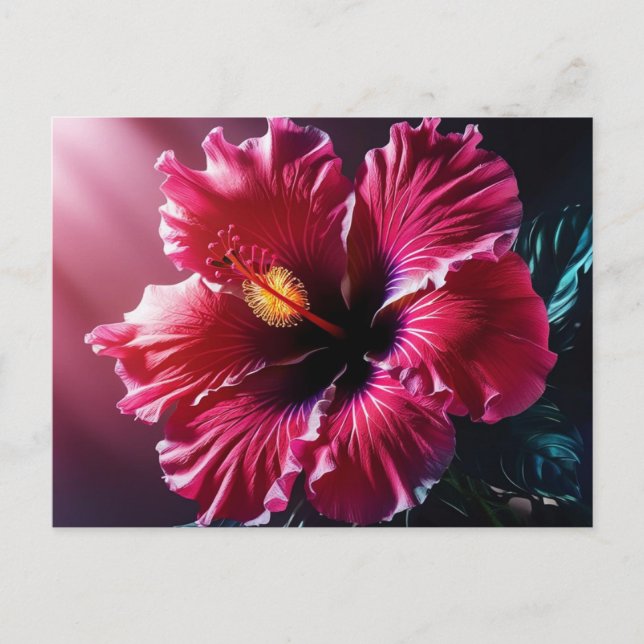Cartão Postal Hibiscus radiante no Bloom (Frente)