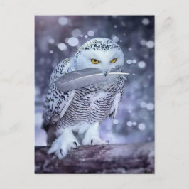Cartão Postal Hibou des neiges